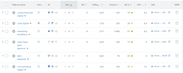 Print mostrando as palavras chave indexadas no Google da Surfe Digital ordenadas por ordem. 